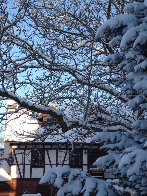 Ferienhaus Annabell Weisbach  Zewnętrze zdjęcie